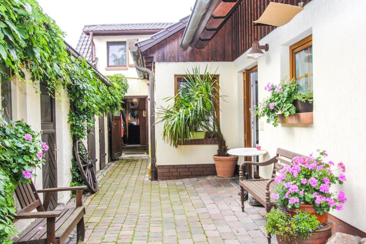 Appartement Likedeeler 6 à Zingst Extérieur photo